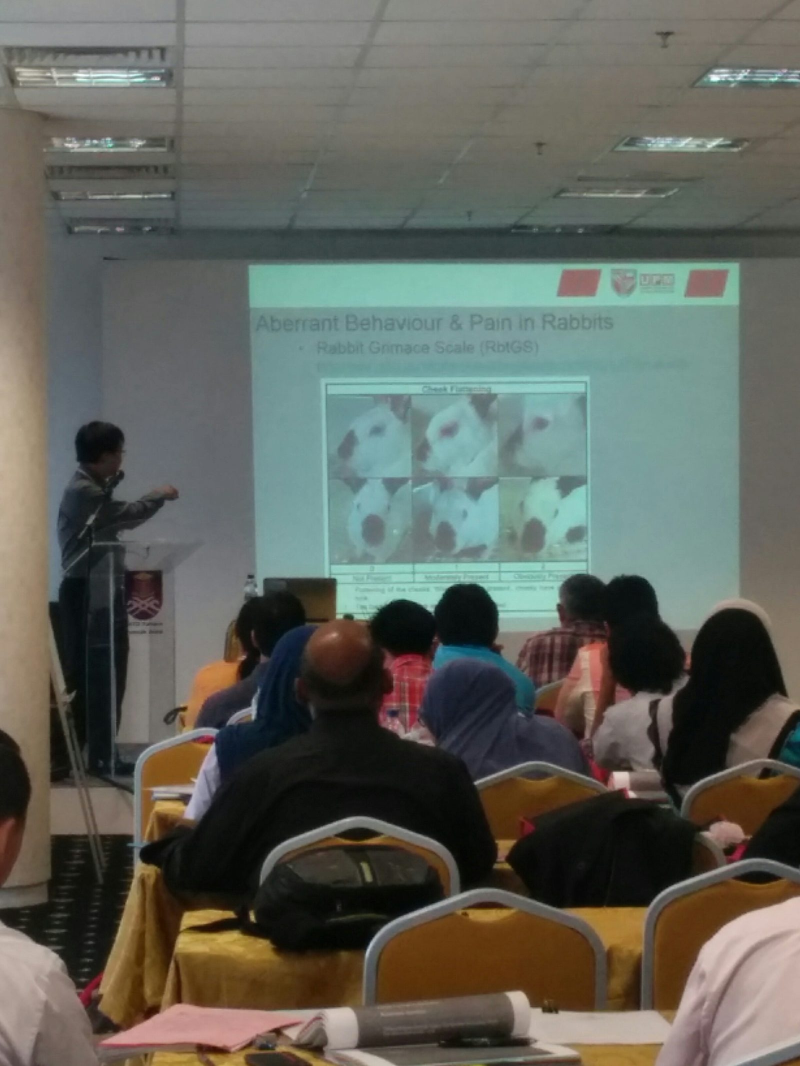 A speaker at the lectern points to a slide showing a grid of photographs of rabbits' faces