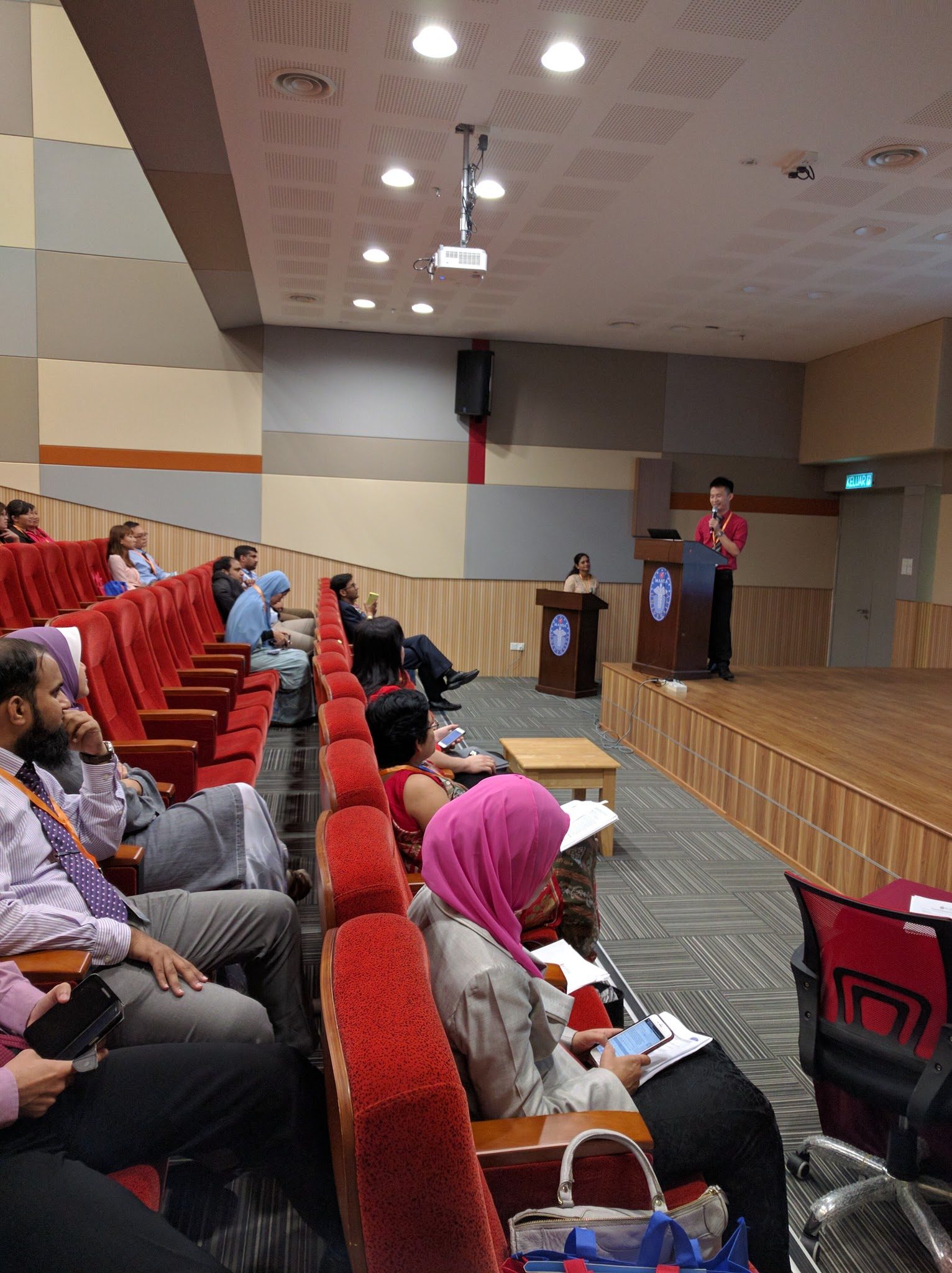 A speaker at the lectern on stage while delegates listen from the red seats of the auditorium.