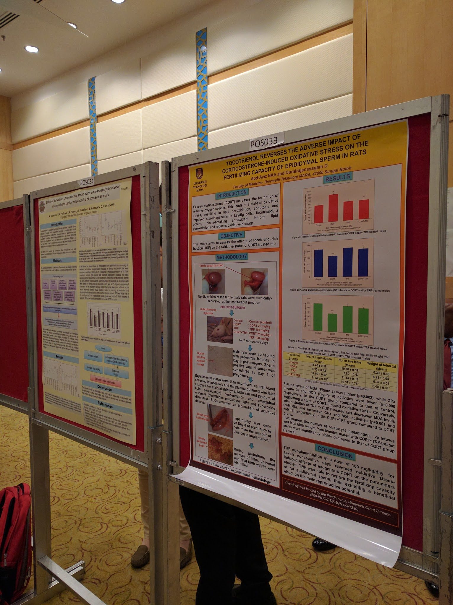 Research posters on display boards during the poster session