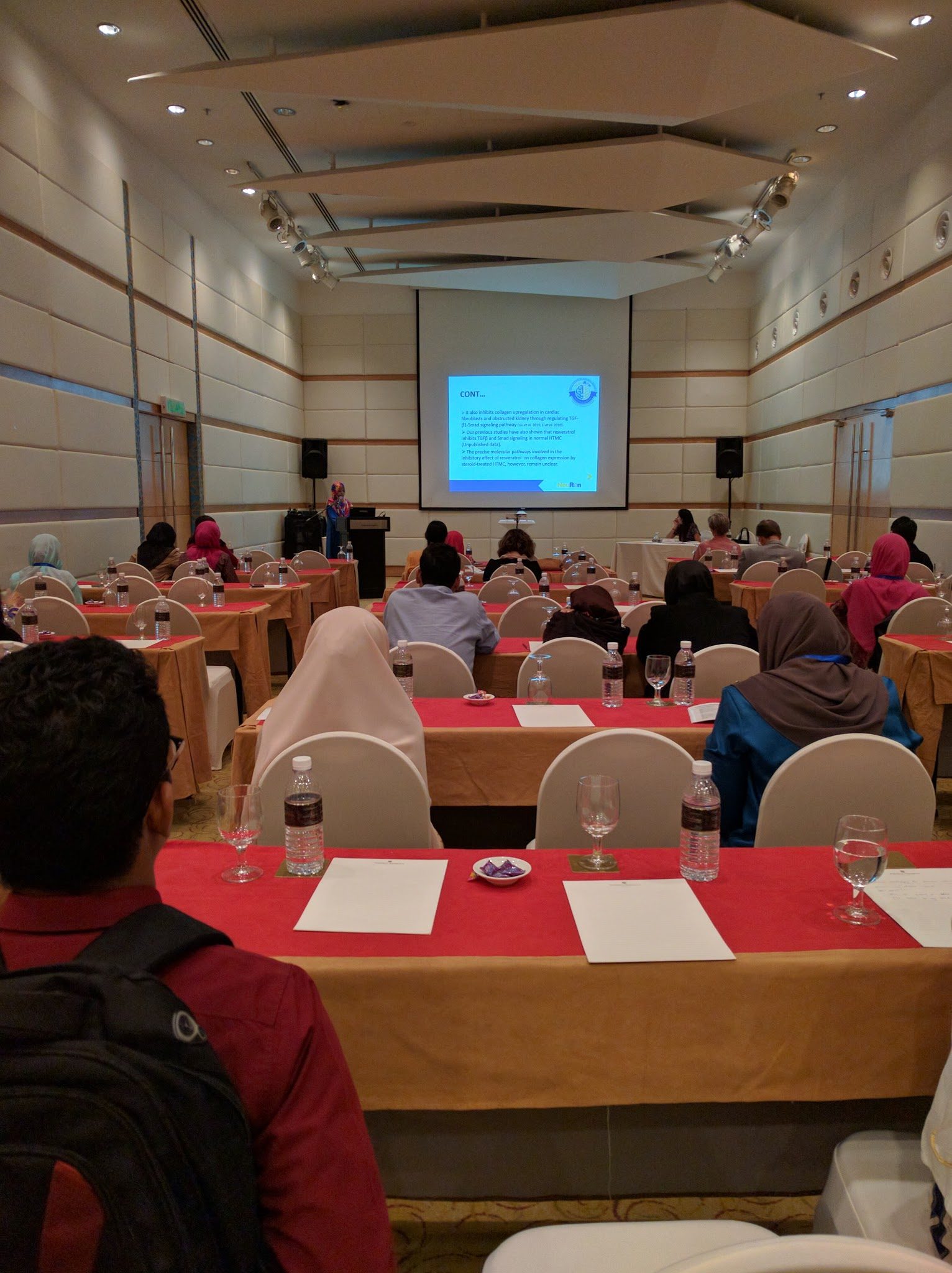 Delegates at red-covered tables listening to a talk in a hotel meeting room
