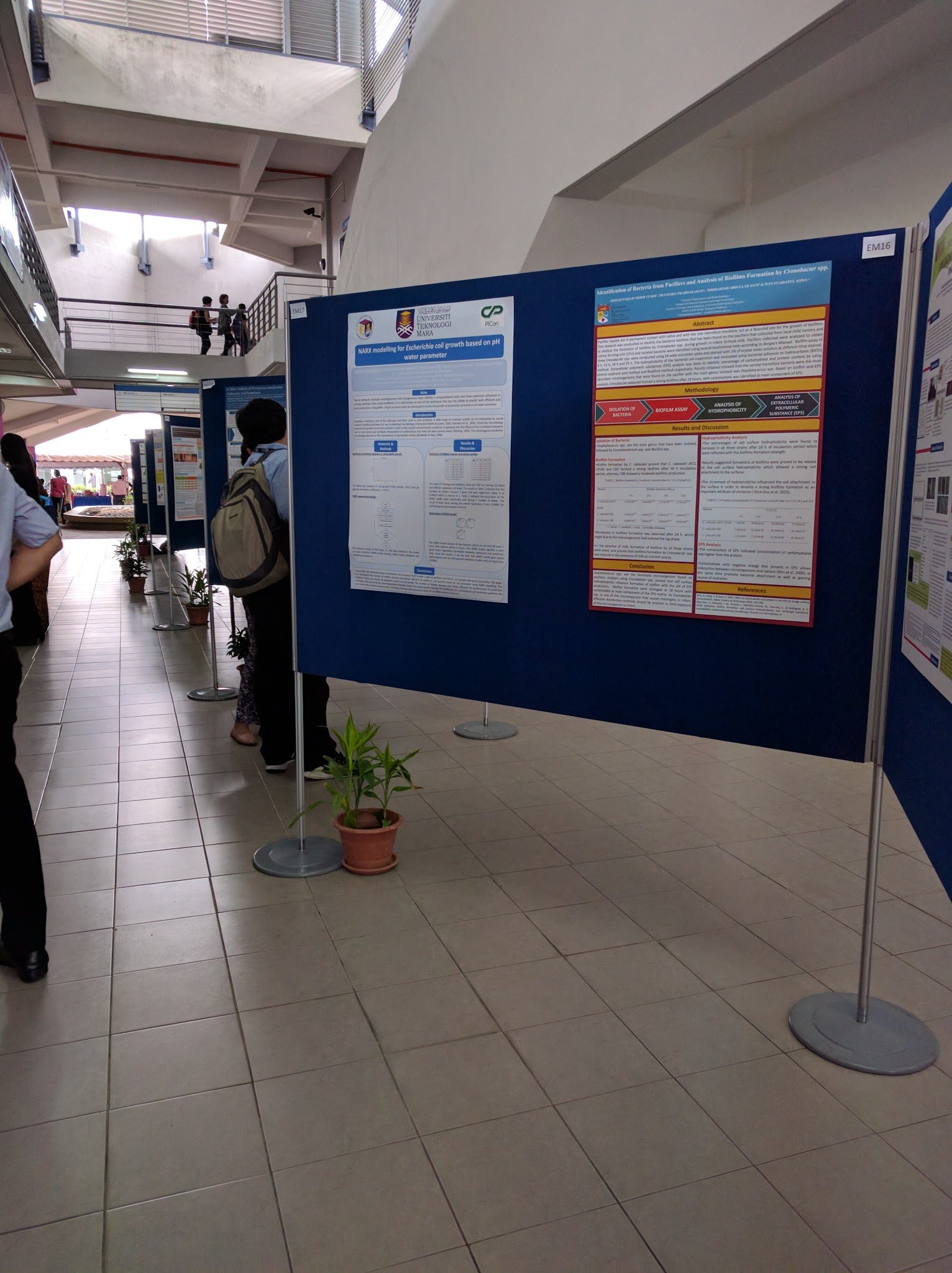 Research posters by postgraduate students displayed on blue boards along a corridor