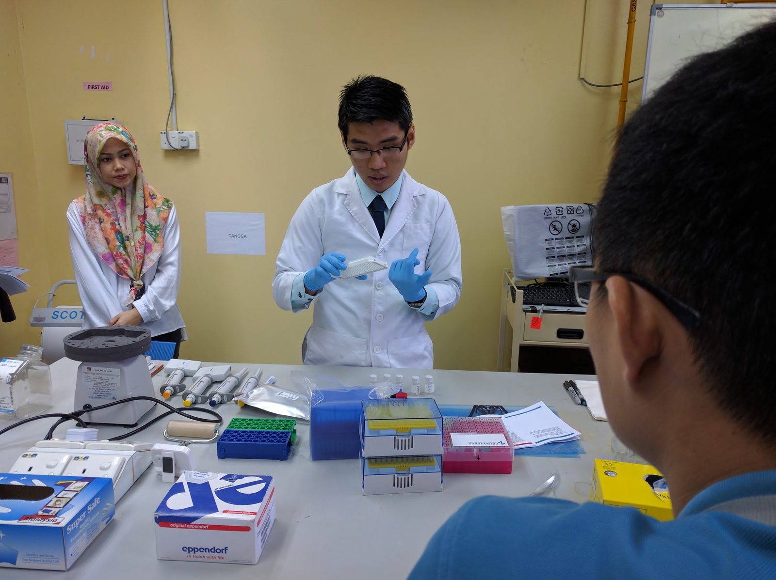 A trainer in a lab coat and gloves demonstrates a step at a bench laid out with pipettes, tip boxes and tubes