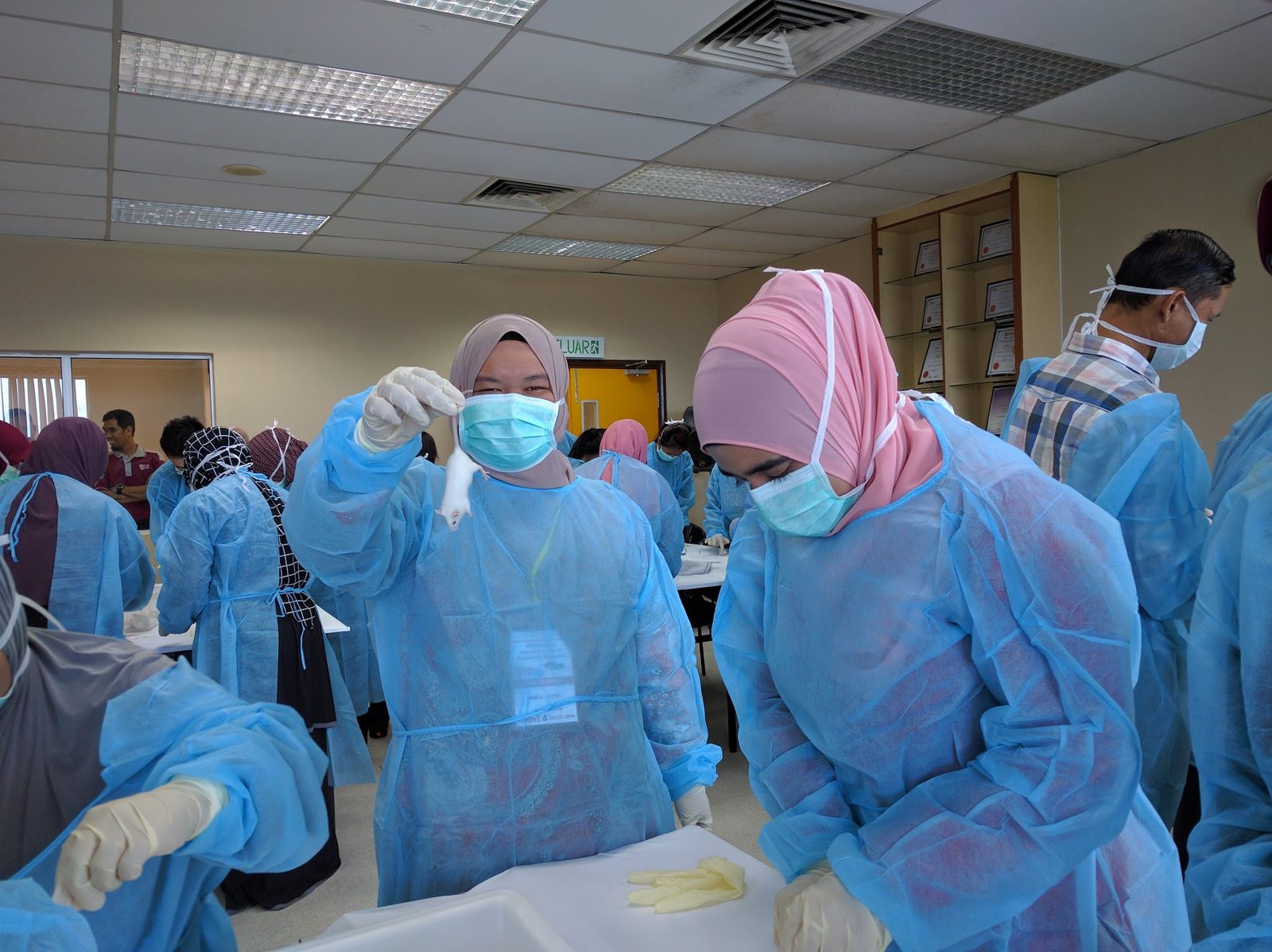 Participants in gowns, masks and gloves at the hands-on session; one holds up a white laboratory mouse