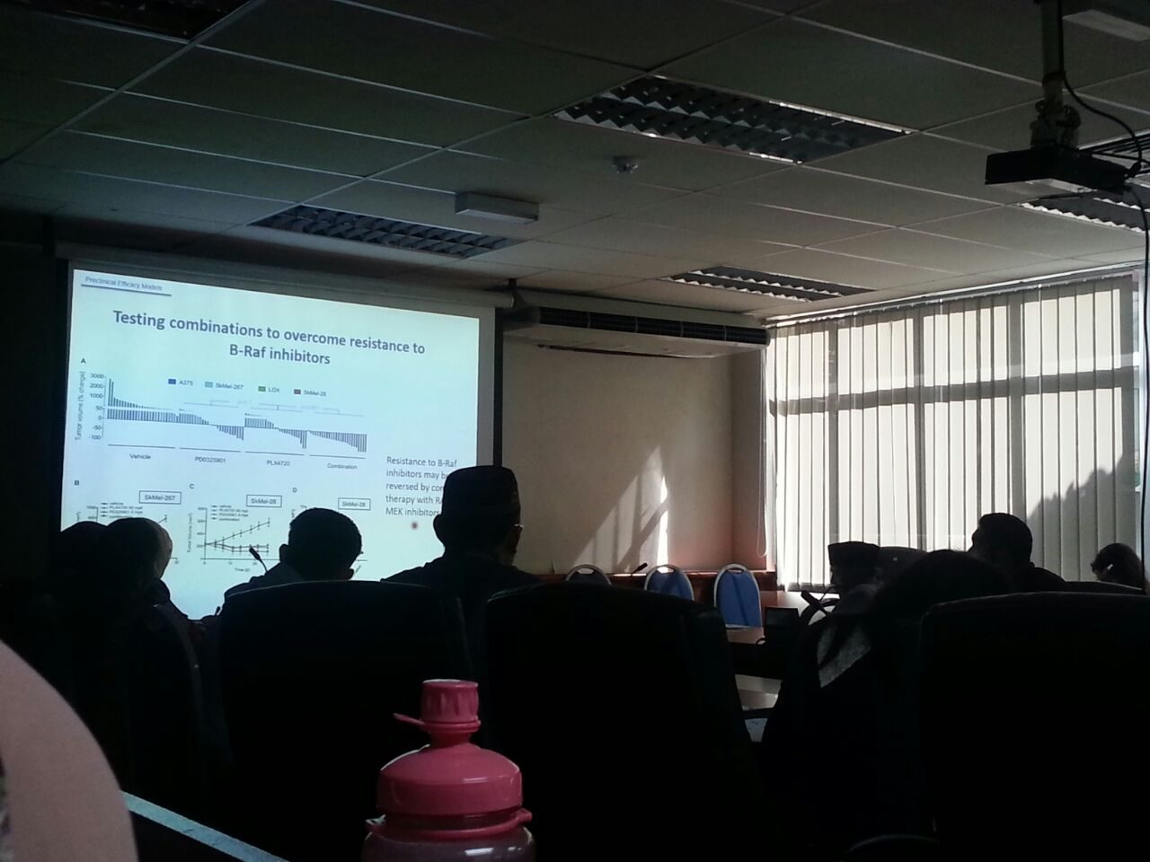 Participants in a dimmed room watching a slide on drug combinations to overcome resistance to B-Raf inhibitors