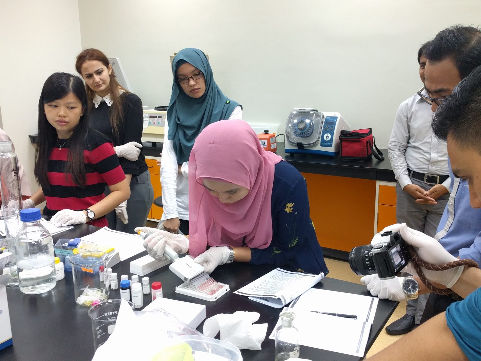 Hands-on pipetting into a microplate at the laboratory bench, with other workshop participants watching