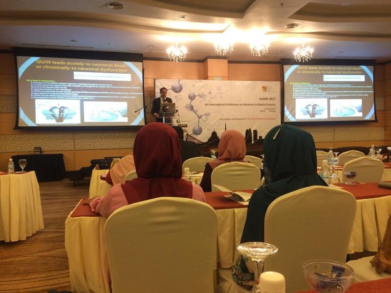A speaker at the lectern presents research slides to delegates in the ICAMS 2017 conference hall