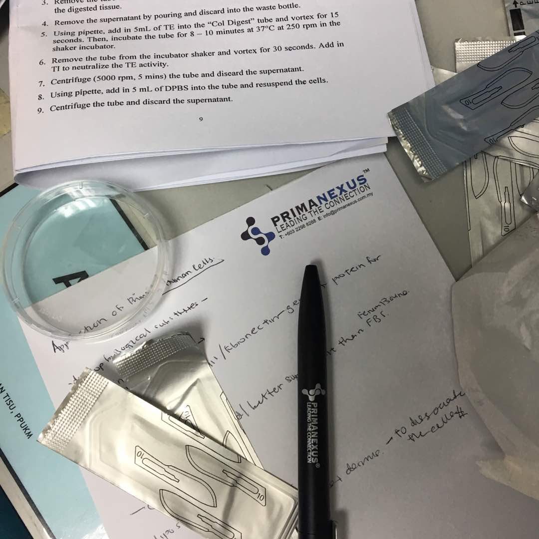 A Prima Nexus notepad with handwritten notes and a pen beside a printed protocol and a culture dish