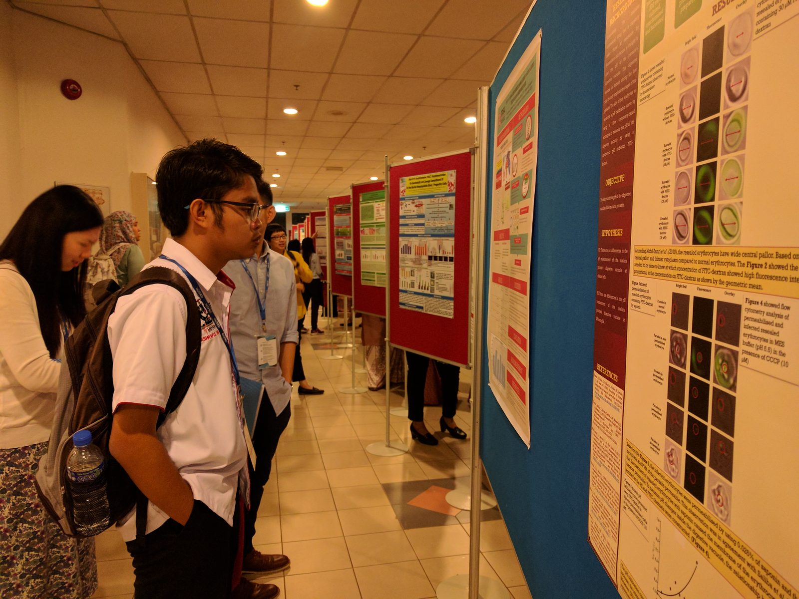 Students read research posters displayed on boards along a corridor.