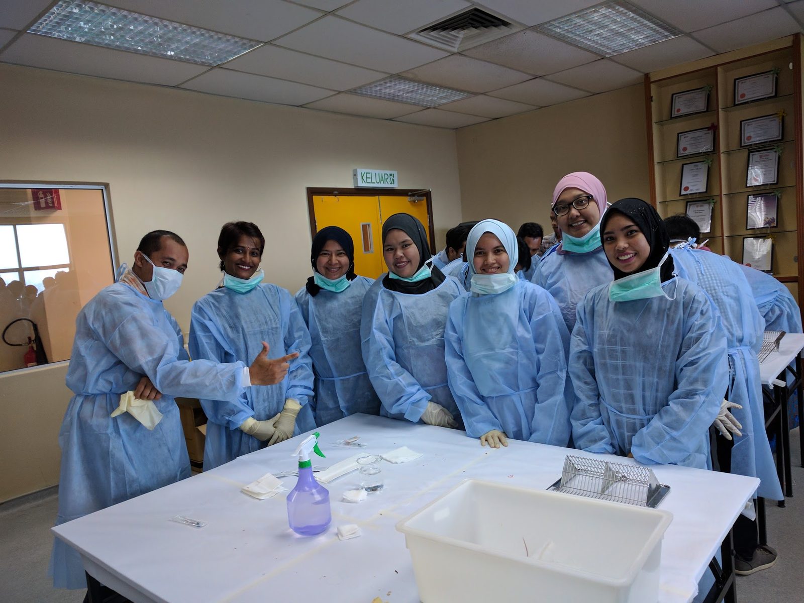 Participants in blue gowns, masks and gloves stand at a bench set up for the hands-on session