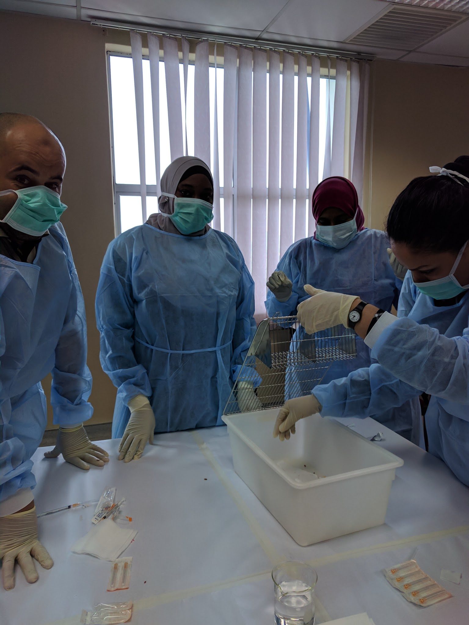 Participants in gowns, masks and gloves around a bench with a white plastic tub during the hands-on session