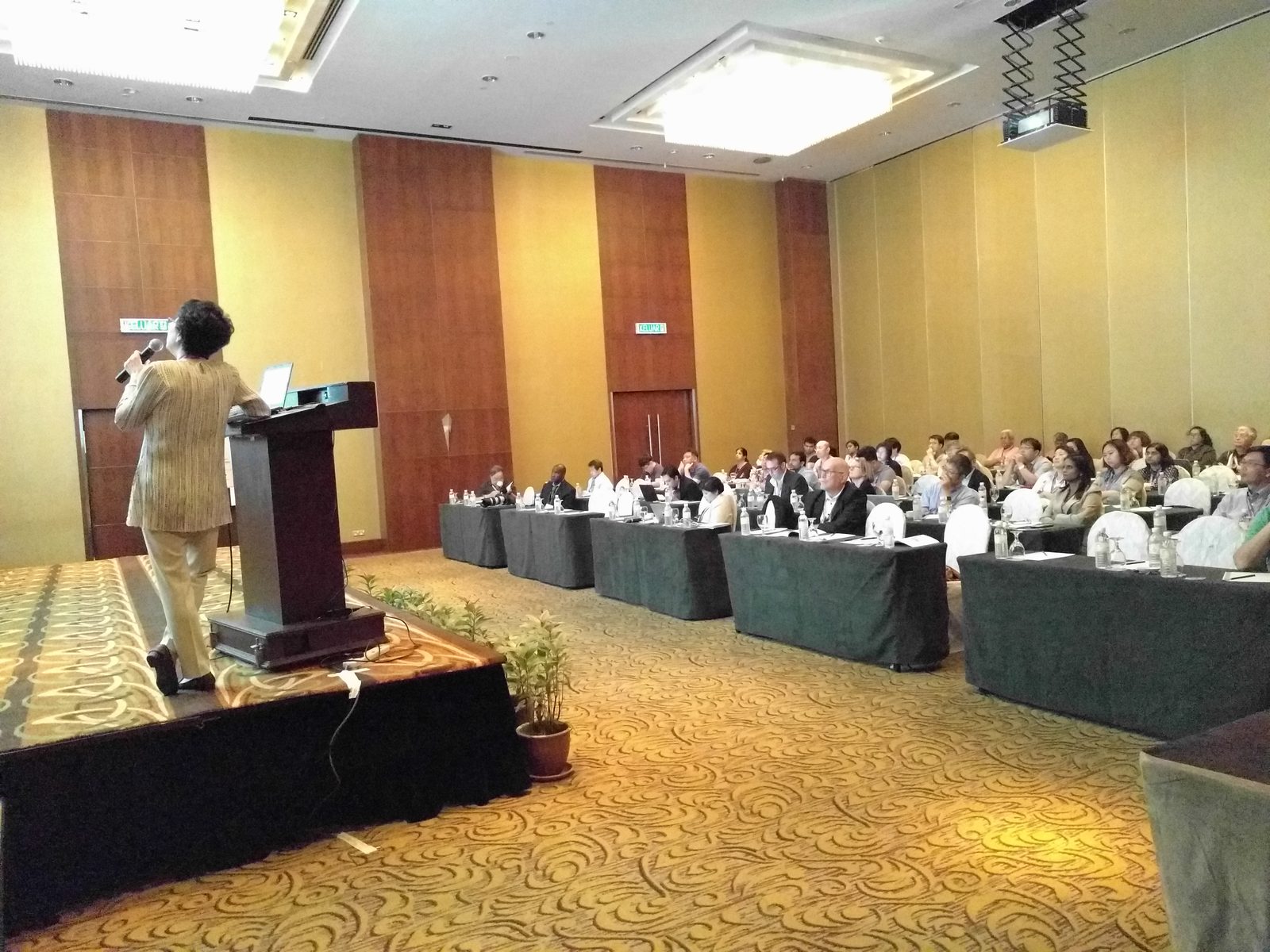 A speaker at the lectern addresses delegates seated at long tables in the conference hall