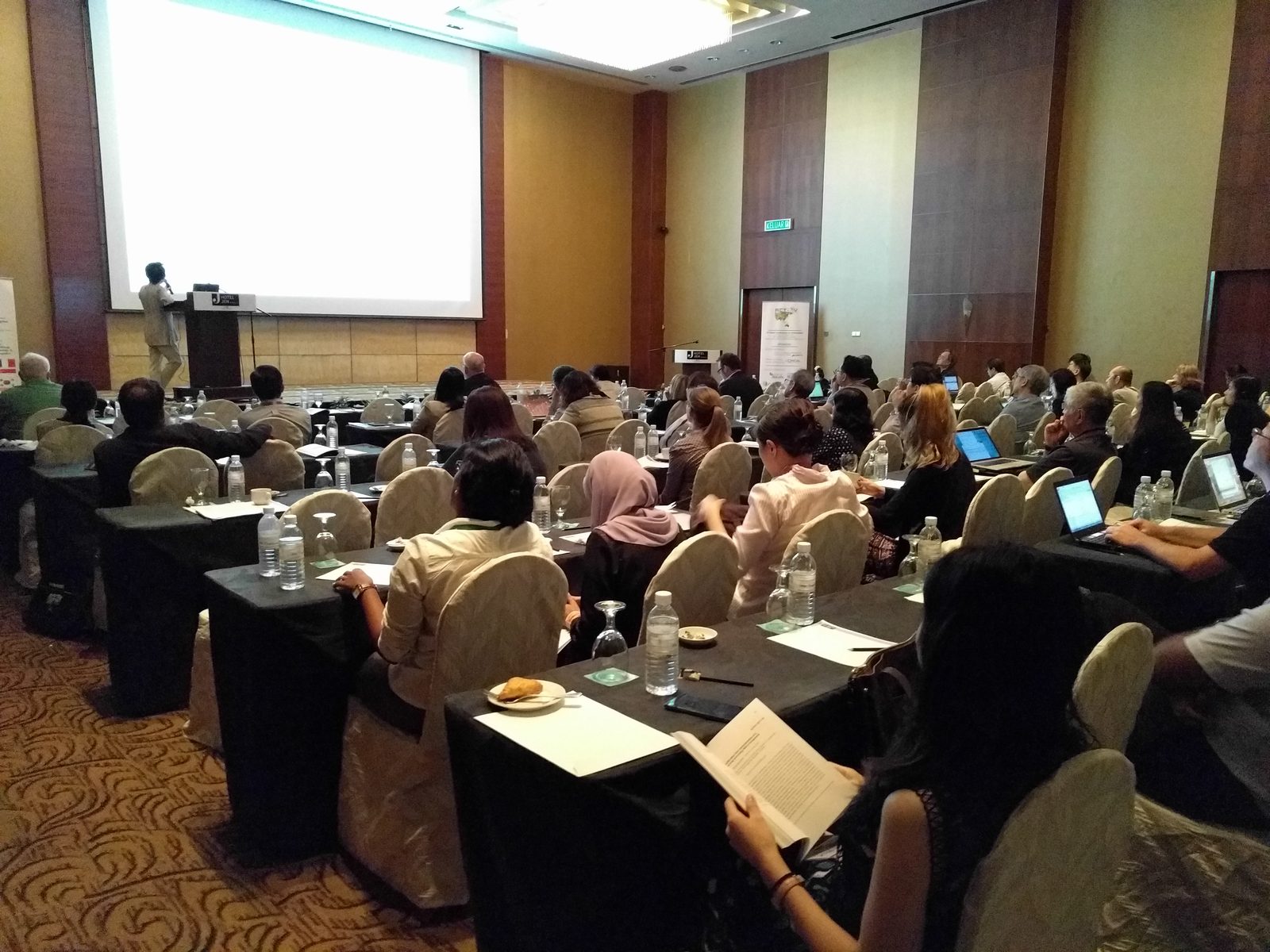 Delegates at long tables follow a talk, with the speaker and projection screen at the front of the hall