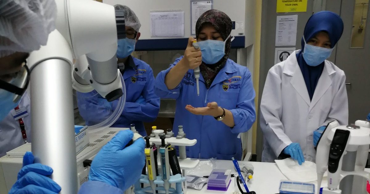 Participants in gowns and caps work at the laboratory bench during the ELISA workshop