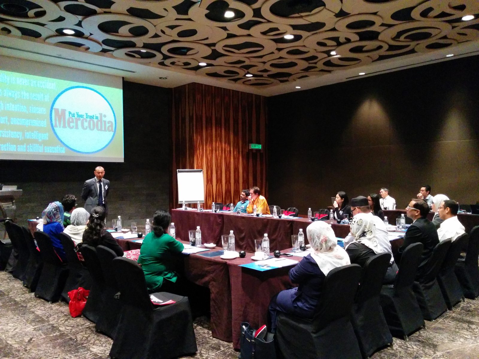 Speaker presents beside a Mercodia slide to participants seated at long tables in a hotel meeting room