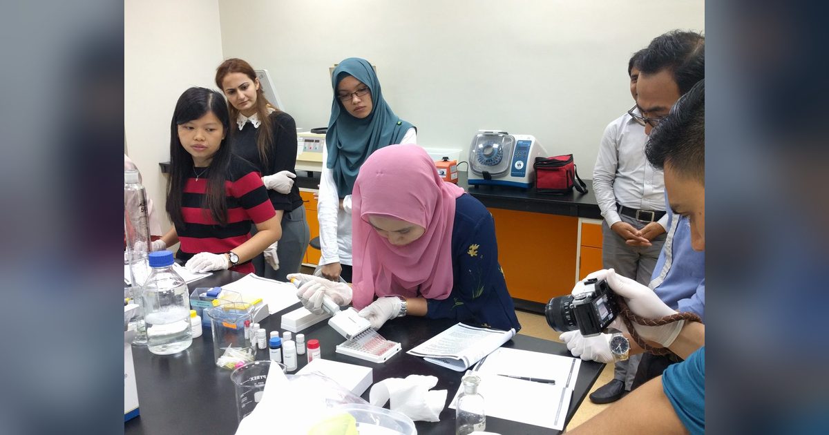 Hands-on pipetting into a microplate at the laboratory bench, with other workshop participants watching