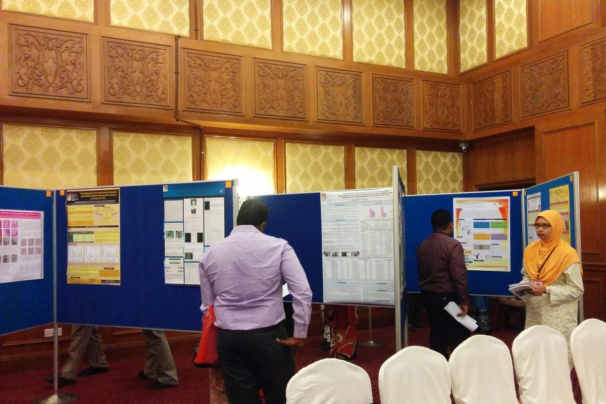 Delegates reading research posters on blue boards in the poster area of the hall