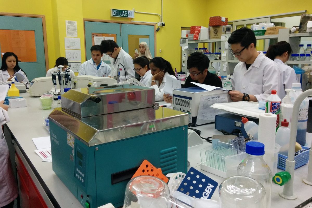 Participants in lab coats working at a laboratory bench with pipettes and equipment