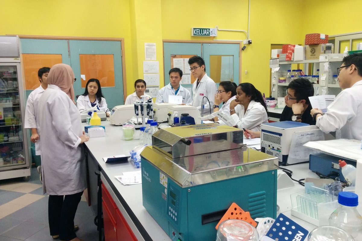 Participants seated along a laboratory bench, watching a trainer in a lab coat