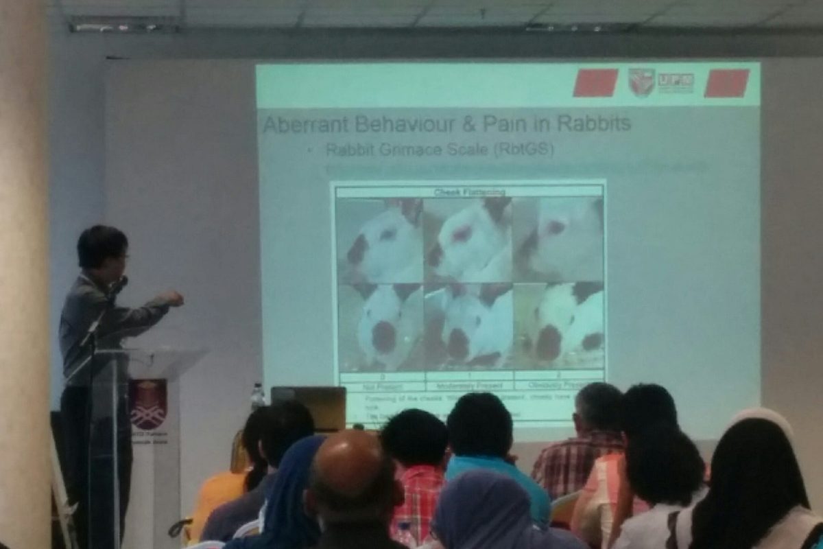 A speaker at the lectern beside a slide on aberrant behaviour and pain in rabbits, with a grid of photographs of rabbits' faces