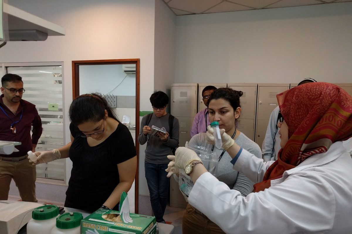 Participants in gloves handle tubes and reagent bottles at a laboratory bench