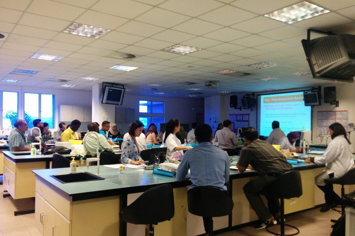 A full teaching laboratory with participants seated at benches, facing a screen at the front