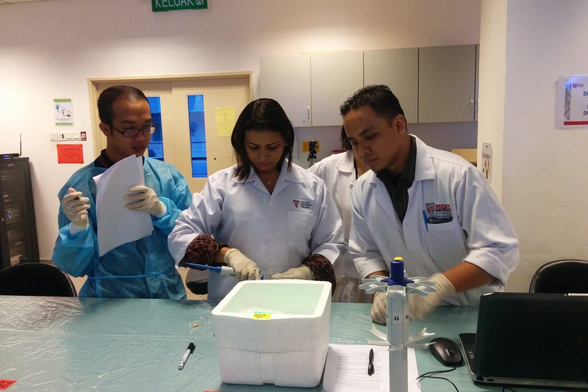 Three people in lab coats, gowns and gloves working at a laboratory bench with a sample box