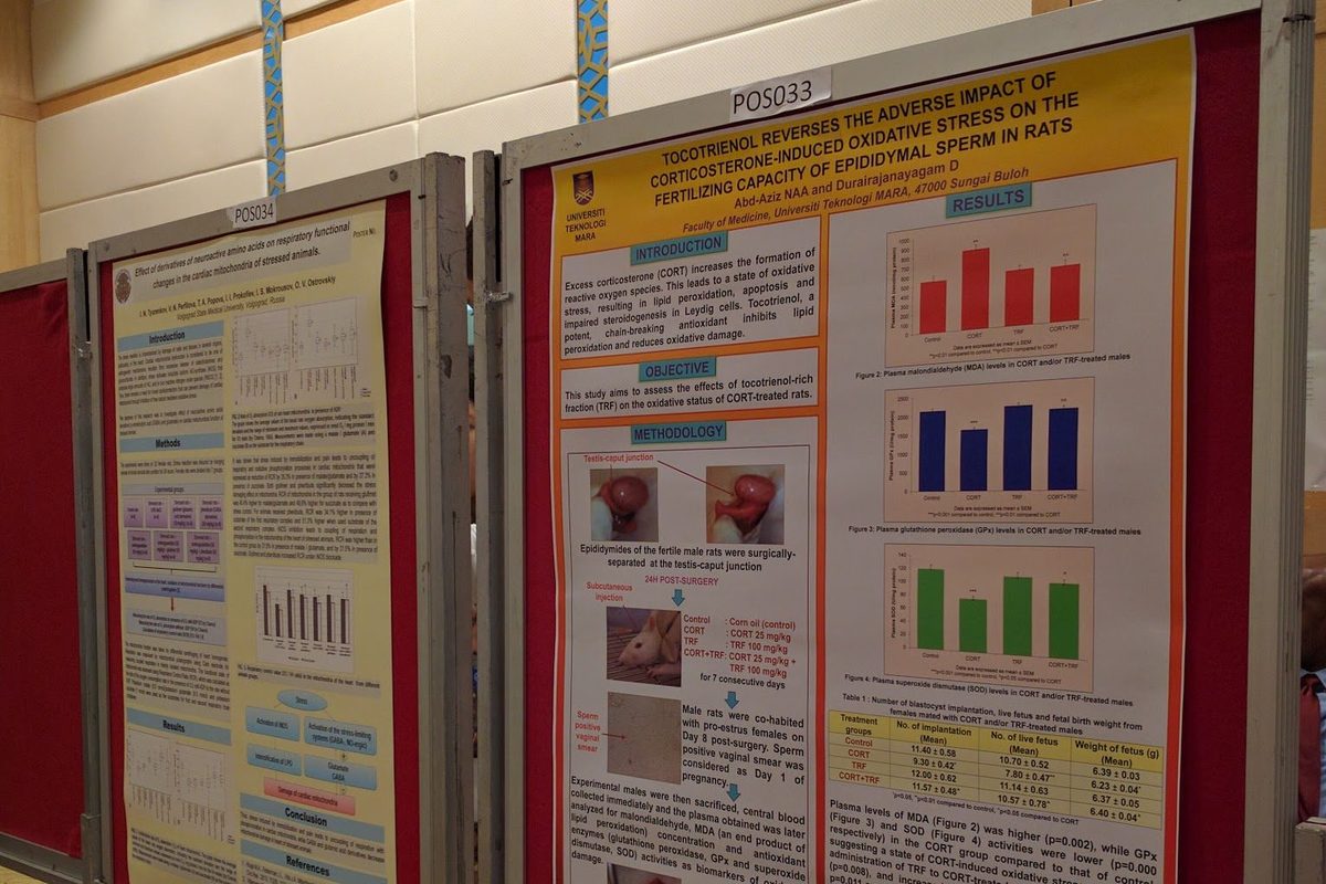 Research posters on display boards during the poster session