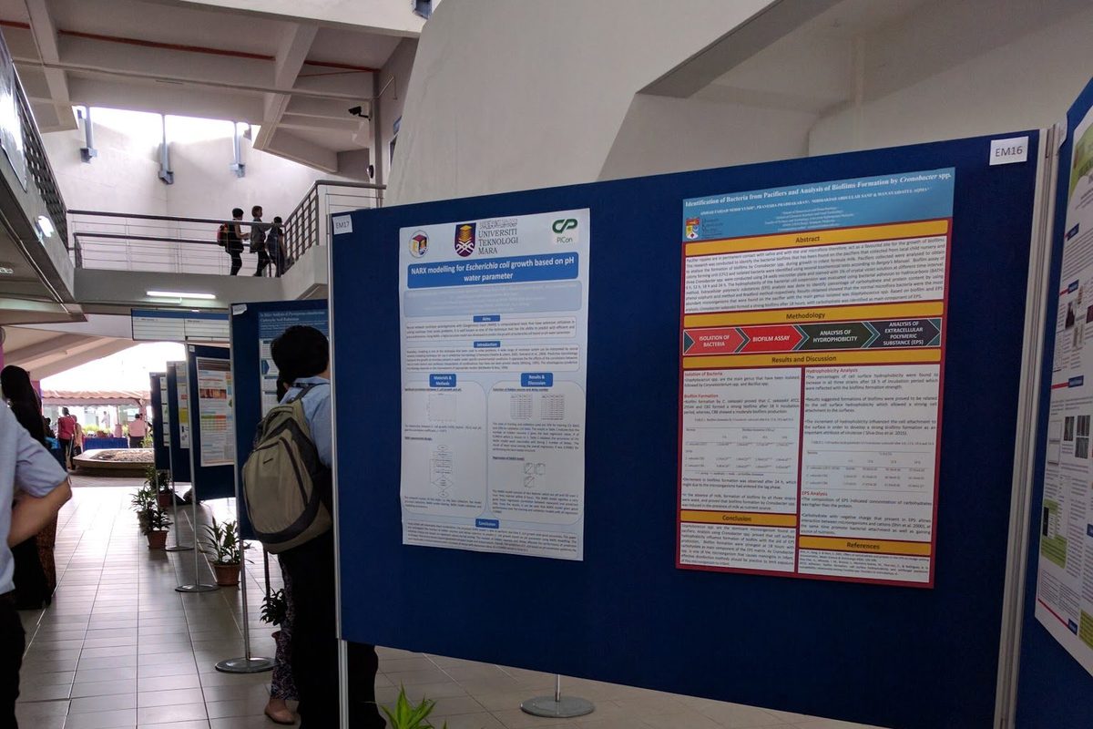 Research posters by postgraduate students displayed on blue boards along a corridor