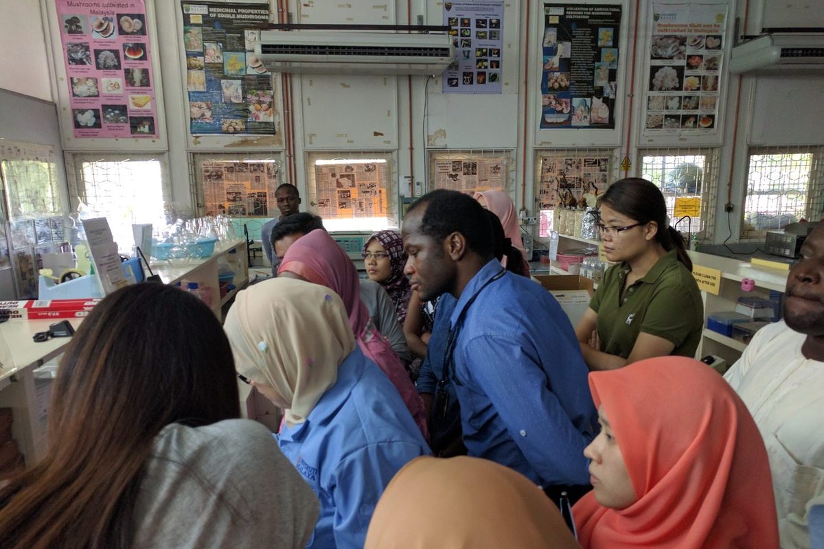 Participants crowd around a lab bench to watch a step of the ELISA demonstration.