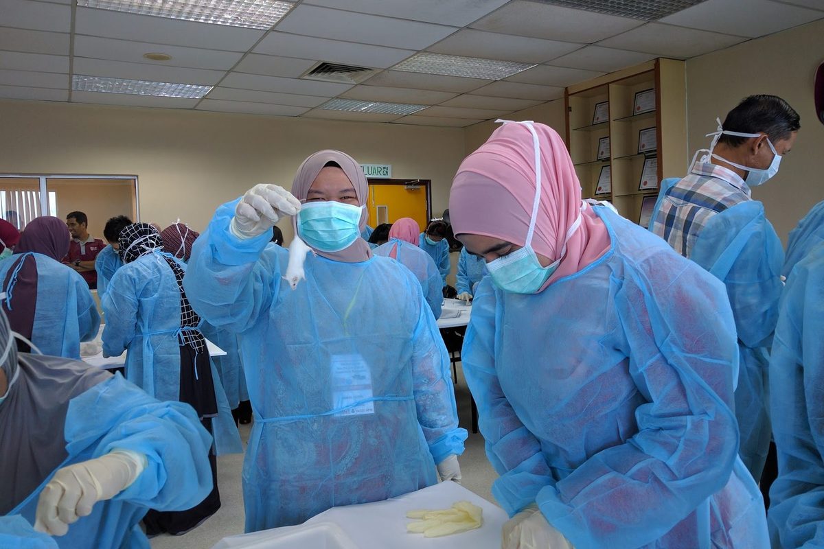 Participants in gowns, masks and gloves at the hands-on session; one holds up a white laboratory mouse
