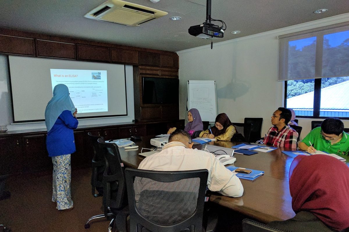 A trainer stands by a slide headed What is an ELISA? while participants sit around a long meeting table