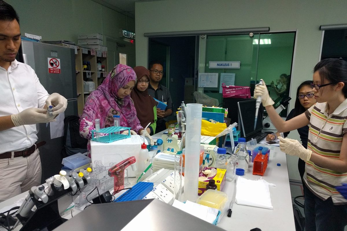 Gloved hands pipette samples into tubes at a busy laboratory bench while others watch