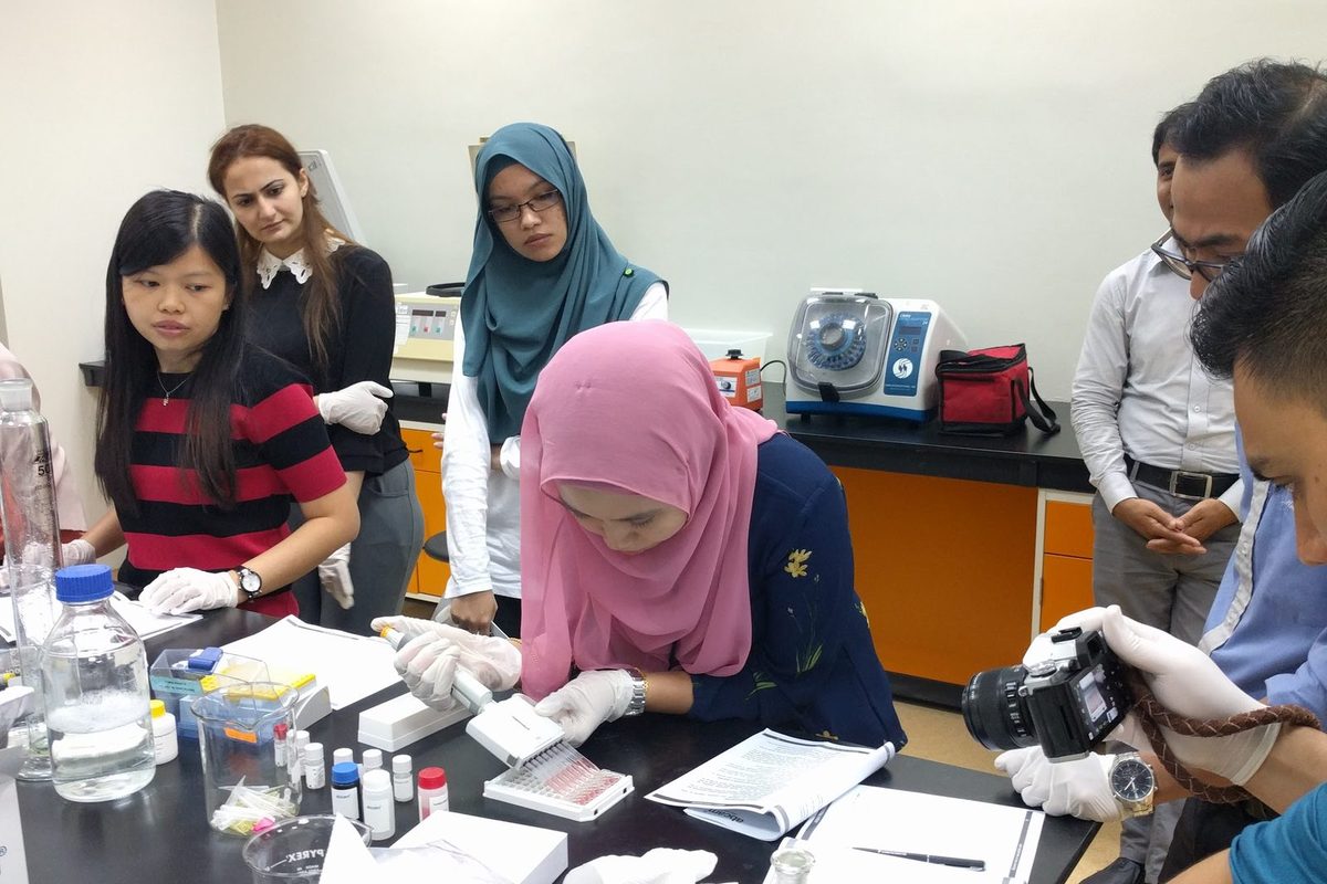 Hands-on pipetting into a microplate at the laboratory bench, with other workshop participants watching