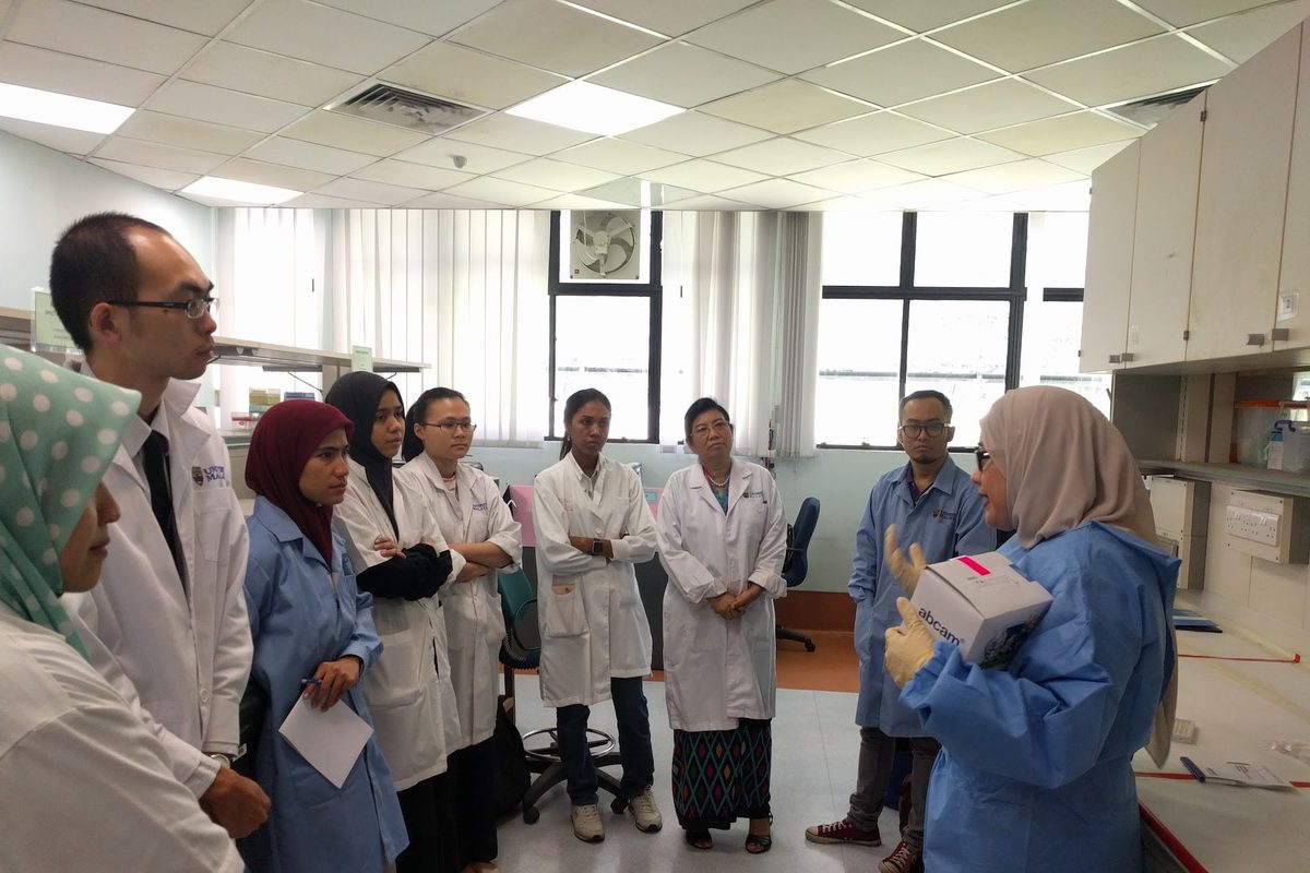 Participants in lab coats stand in the laboratory listening to a trainer in a blue gown