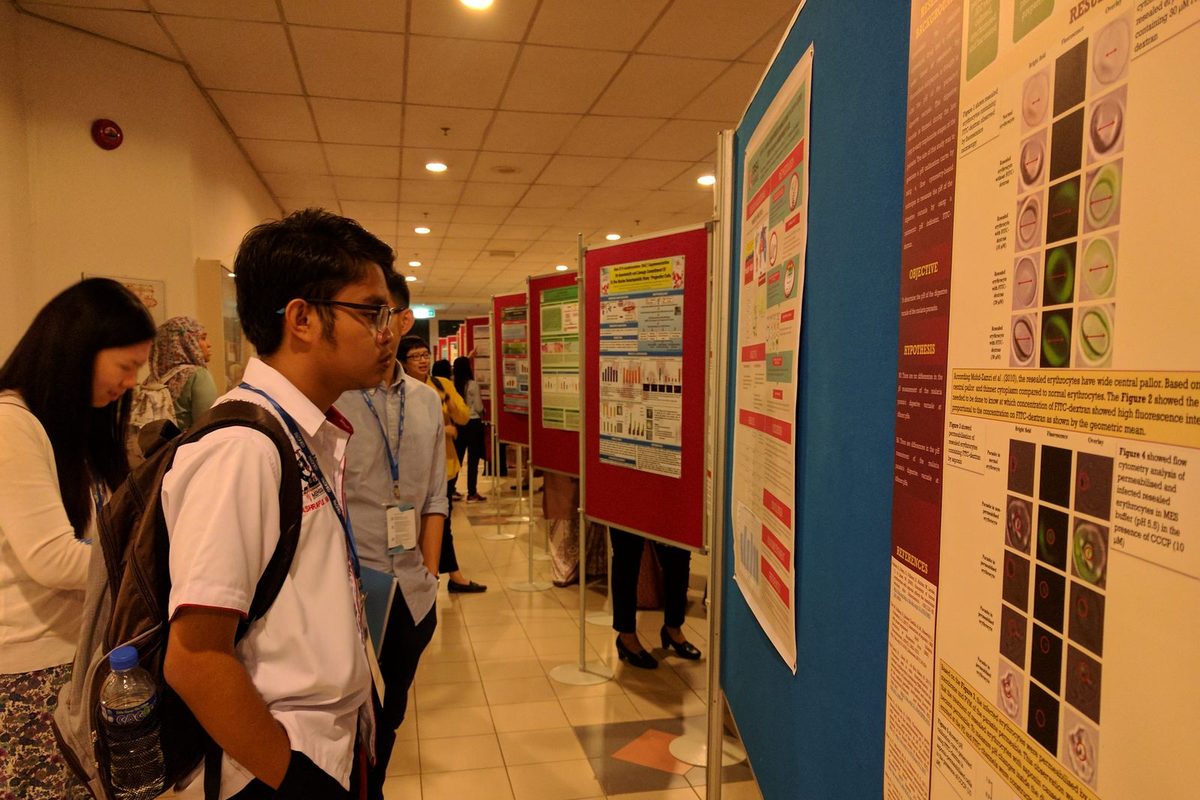 Students read research posters displayed on boards along a corridor.
