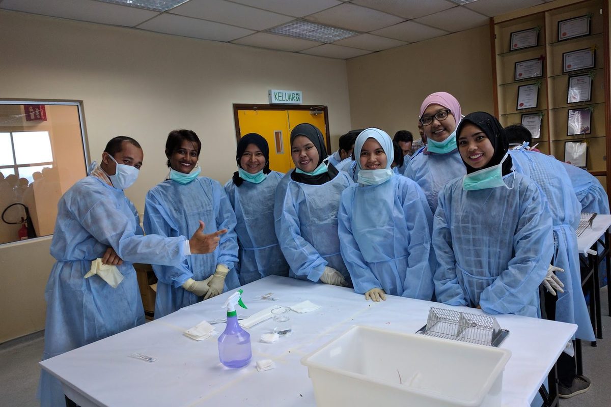Participants in blue gowns, masks and gloves stand at a bench set up for the hands-on session
