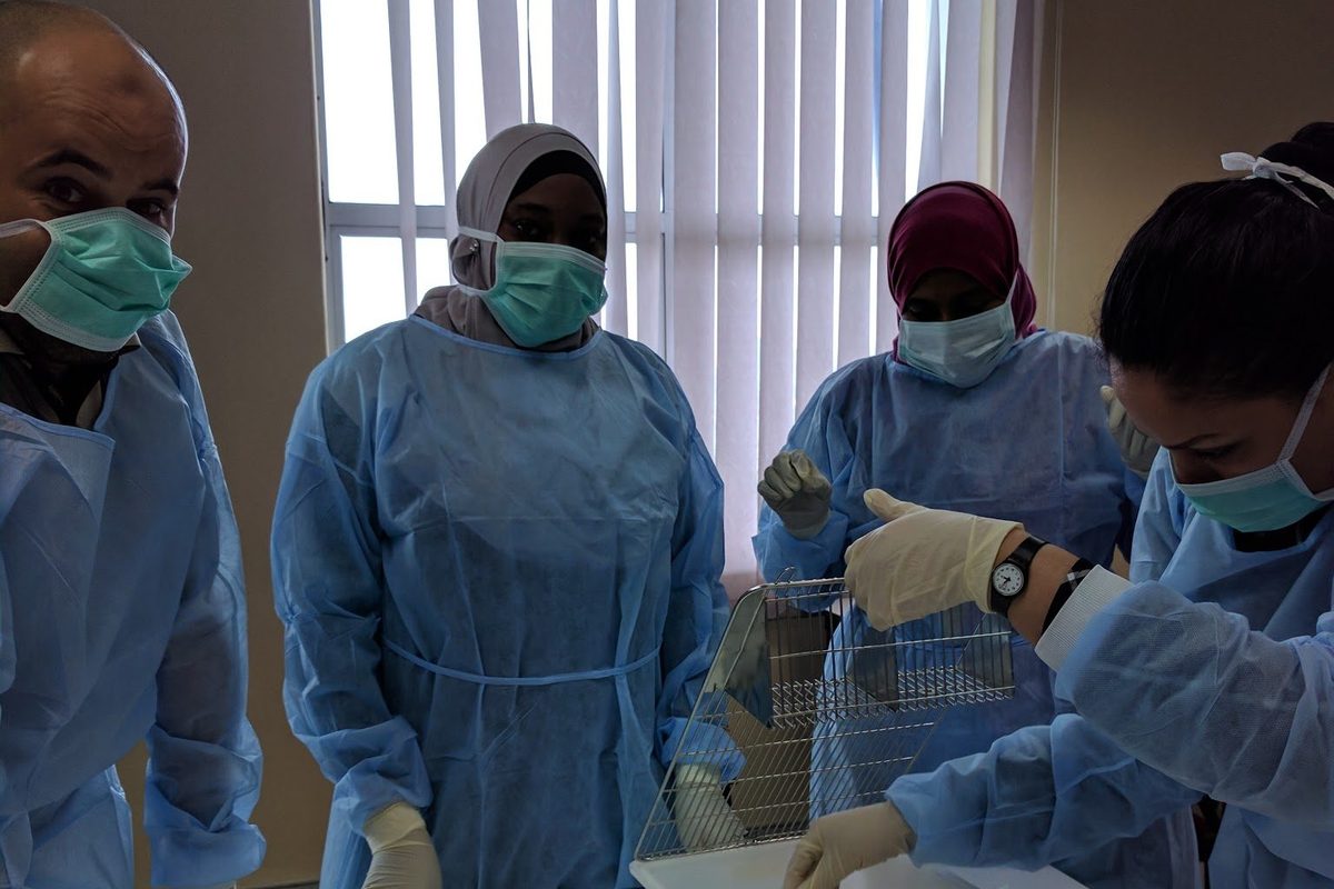 Participants in gowns, masks and gloves around a bench with a white plastic tub during the hands-on session