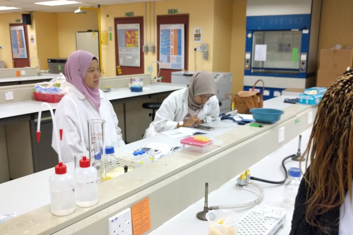 The laboratory with participants at the benches