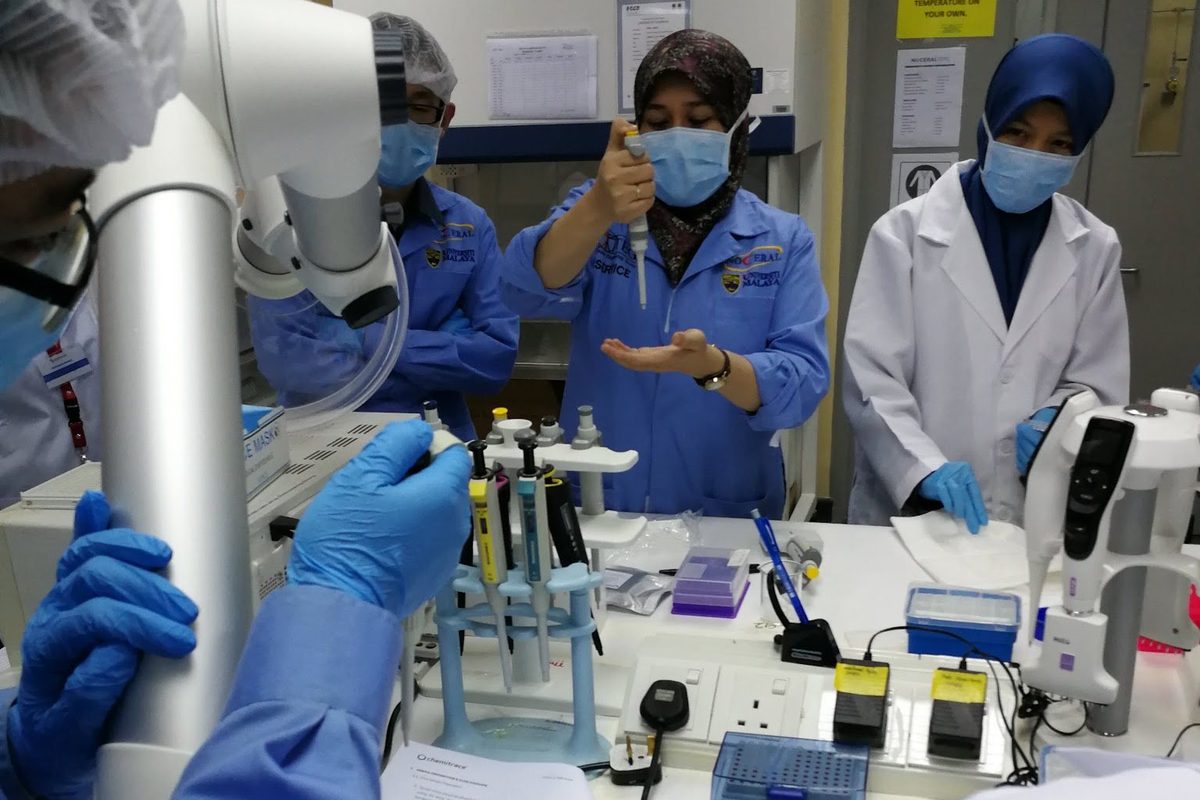Participants in gowns and caps work at the laboratory bench during the ELISA workshop