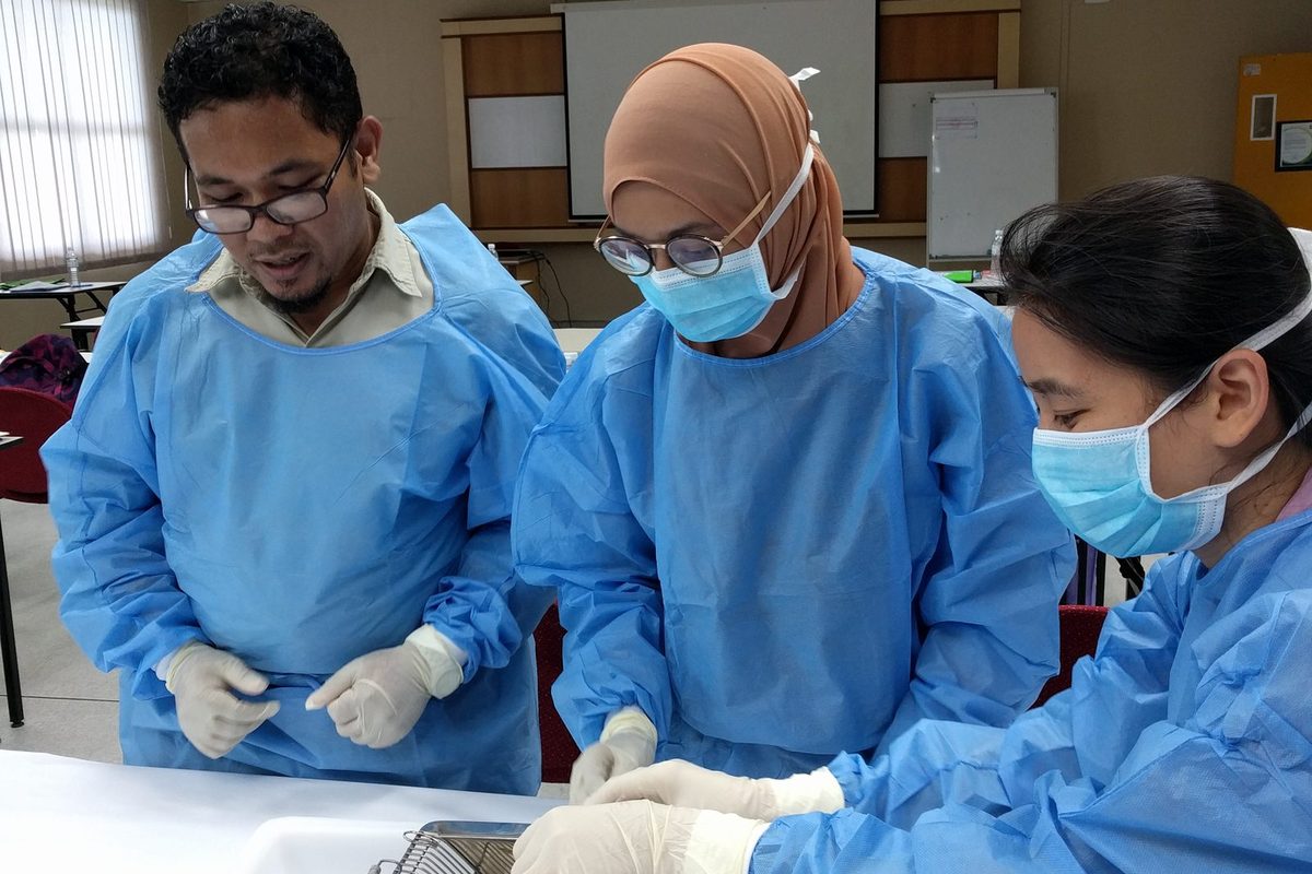 Three participants in gowns, masks and gloves at a bench, one reaching into a cage under its wire lid