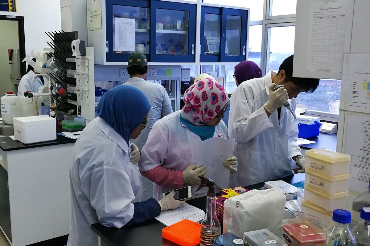 Participants at a laboratory bench setting up reactions