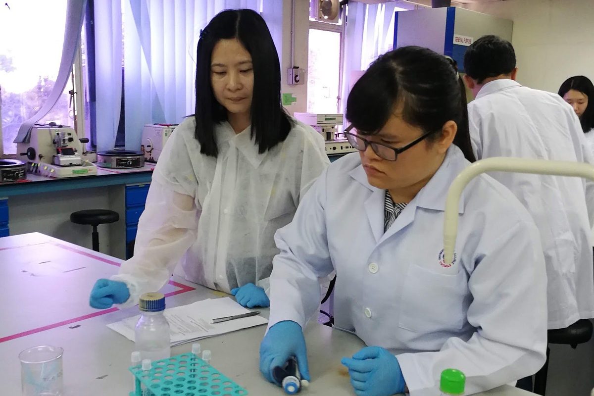 Two participants work at a bench with sample tubes