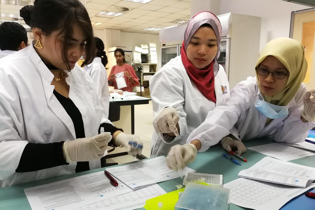 Participants pipette samples into the plate