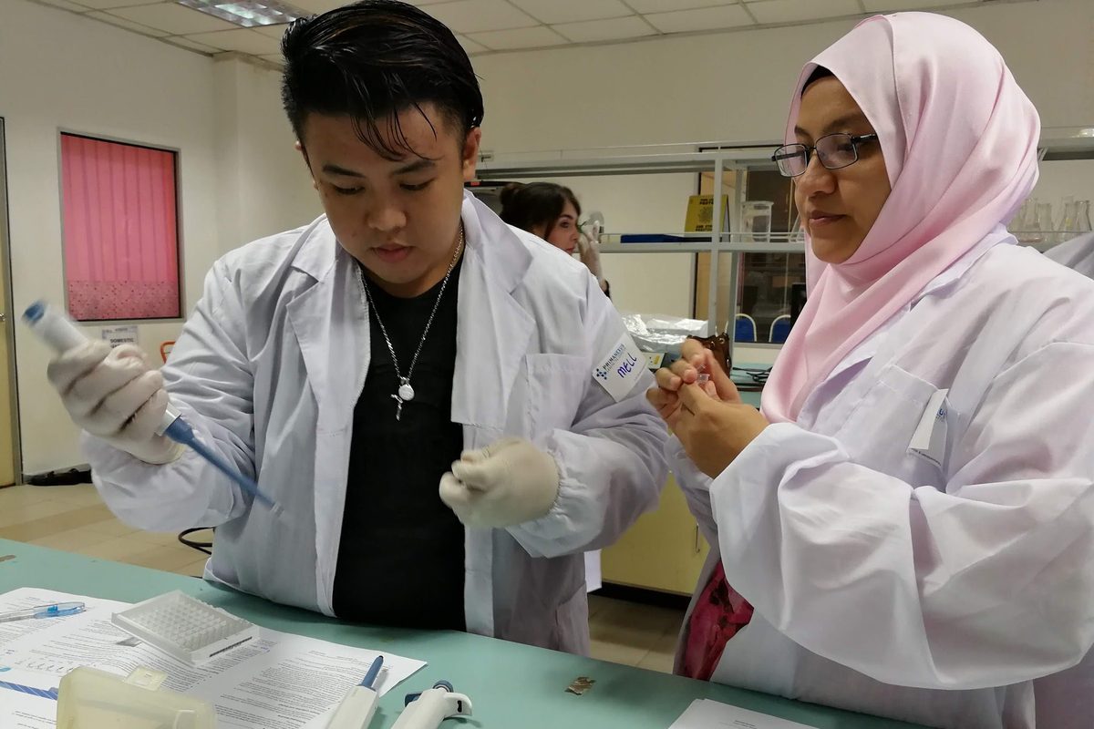 A participant pipettes while another watches