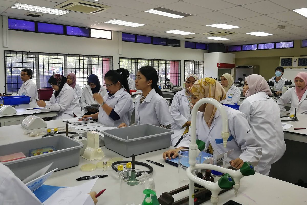 Participants working at benches across the laboratory