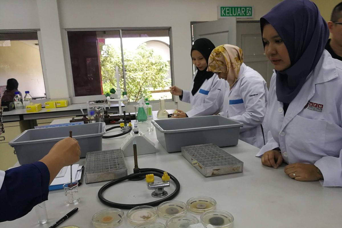 Participants with culture plates at the bench