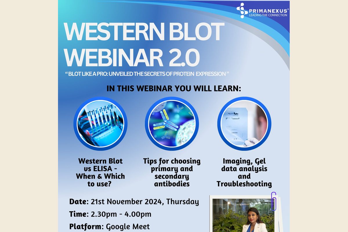Top of the poster for Western Blot Webinar 2.0, Blot Like a Pro, a Prima Nexus webinar on Thursday 21 November 2024, with the topics and a photo of the speaker