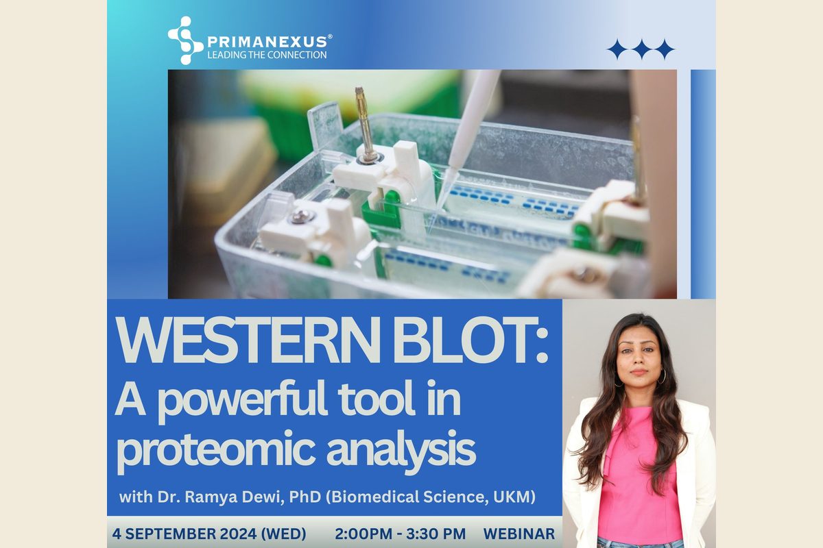 Top of the poster for Western Blot: A Powerful Tool in Proteomic Analysis, a Prima Nexus webinar on 4 September 2024