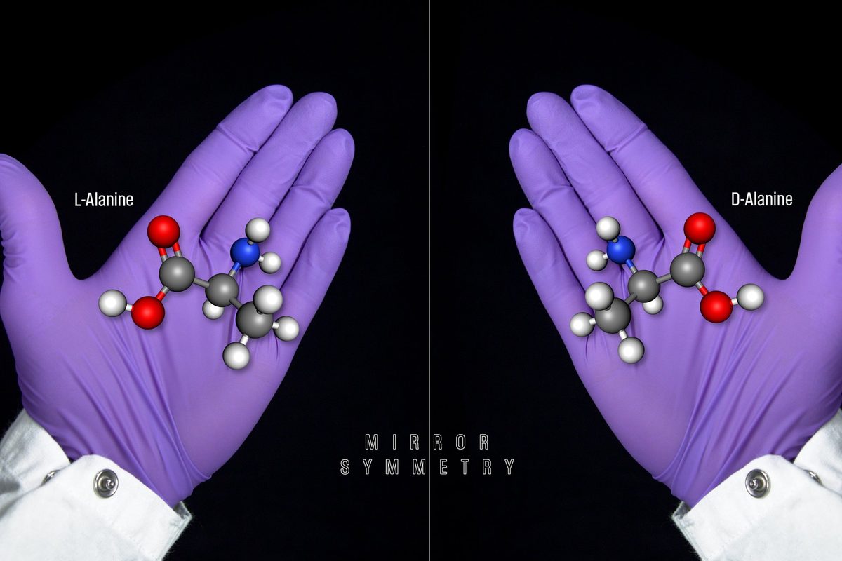 Two purple-gloved hands holding ball-and-stick models of the amino acid alanine as mirror images, labelled L-Alanine and D-Alanine, with the words Mirror Symmetry