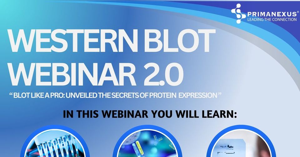 Top of the poster for Western Blot Webinar 2.0, Blot Like a Pro, a Prima Nexus webinar on Thursday 21 November 2024, with the topics and a photo of the speaker